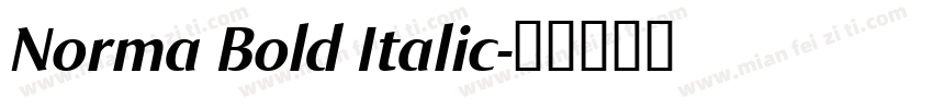Norma Bold Italic字体转换